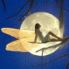 Orlistat: Purchase In Gainesville Orlistat: Purchase In Gainesville
